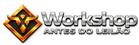 Workshop Antes do Leilão